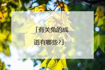 有关兔的成语有哪些?