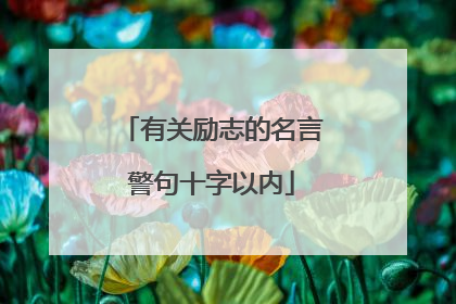 有关励志的名言警句十字以内