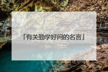 有关勤学好问的名言