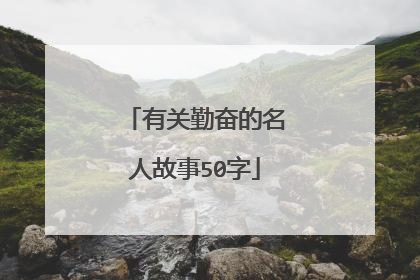 有关勤奋的名人故事50字