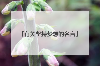 有关坚持梦想的名言