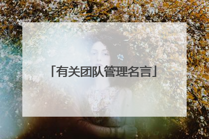 有关团队管理名言