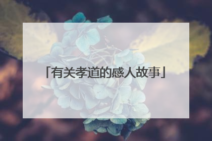 有关孝道的感人故事