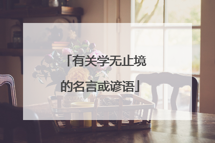 有关学无止境的名言或谚语