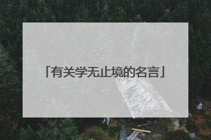 有关学无止境的名言