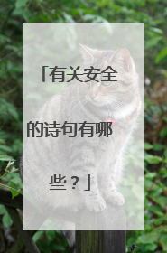 有关安全的诗句有哪些?