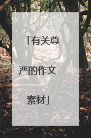 有关尊严的作文素材