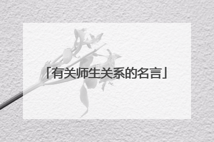 有关师生关系的名言