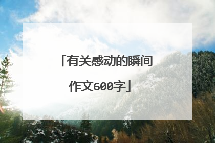 有关感动的瞬间作文600字