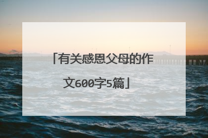 有关感恩父母的作文600字5篇