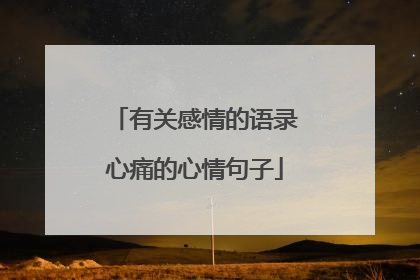 有关感情的语录心痛的心情句子