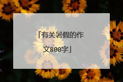 有关暑假的作文800字