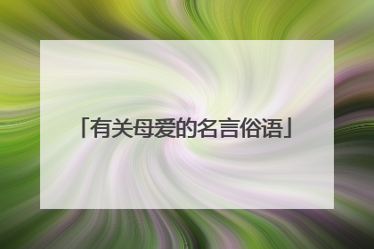 有关母爱的名言俗语
