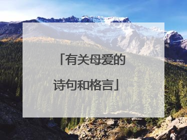 有关母爱的诗句和格言