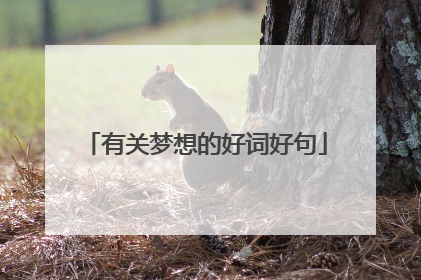 有关梦想的好词好句