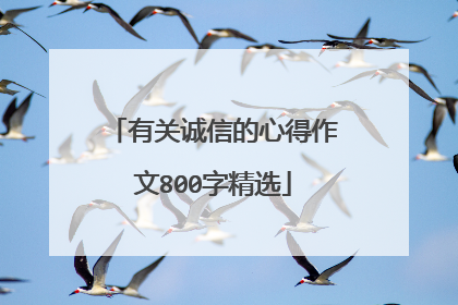 有关诚信的心得作文800字精选