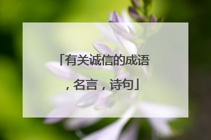 有关诚信的成语，名言，诗句