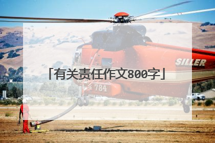 有关责任作文800字