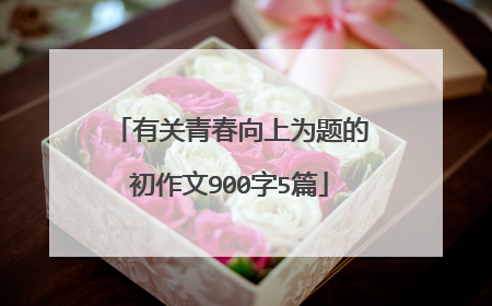 有关青春向上为题的初作文900字5篇