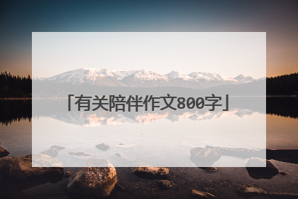 有关陪伴作文800字