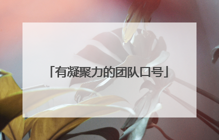 有凝聚力的团队口号
