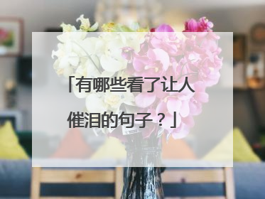 有哪些看了让人催泪的句子?