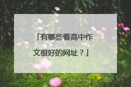 有哪些看高中作文很好的网址？