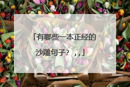 有哪些一本正经的沙雕句子? ,,