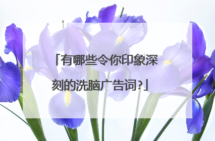 有哪些令你印象深刻的洗脑广告词?