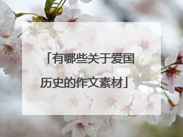 有哪些关于爱国历史的作文素材