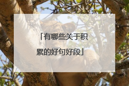 有哪些关于积累的好句好段