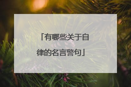 有哪些关于自律的名言警句