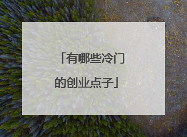 有哪些冷门的创业点子