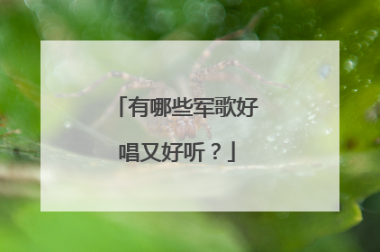 有哪些军歌好唱又好听？