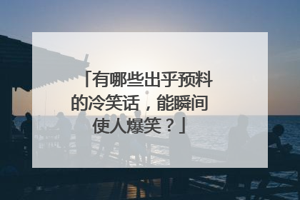 有哪些出乎预料的冷笑话，能瞬间使人爆笑？
