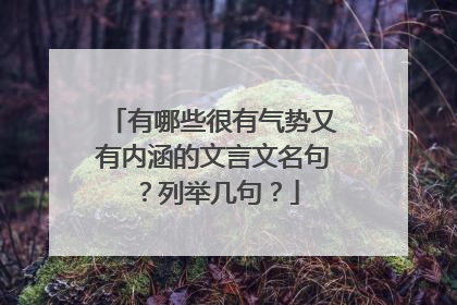 有哪些很有气势又有内涵的文言文名句？列举几句？