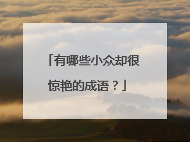 有哪些小众却很惊艳的成语？