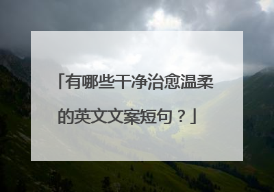 有哪些干净治愈温柔的英文文案短句?