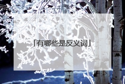 有哪些是反义词
