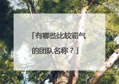 有哪些比较霸气的团队名称?