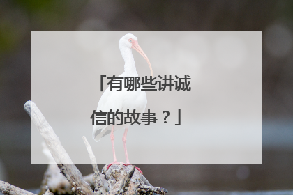 有哪些讲诚信的故事？