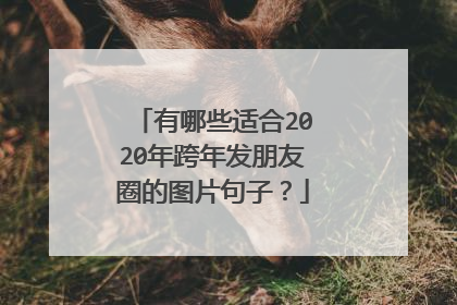 有哪些适合2020年跨年发朋友圈的图片句子?