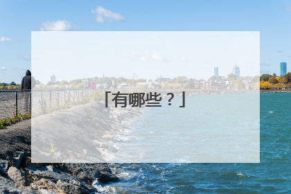 有哪些?