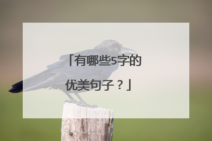 有哪些5字的优美句子？