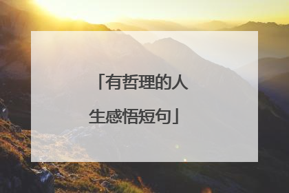 有哲理的人生感悟短句