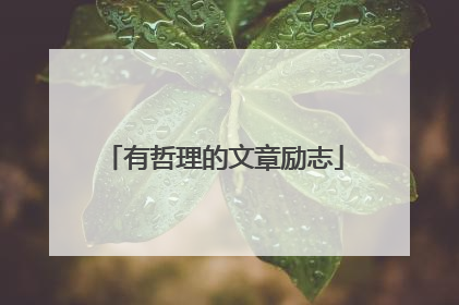 有哲理的文章励志