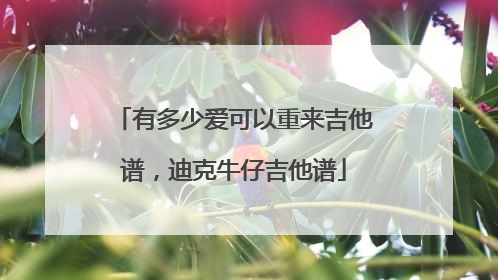 有多少爱可以重来吉他谱，迪克牛仔吉他谱