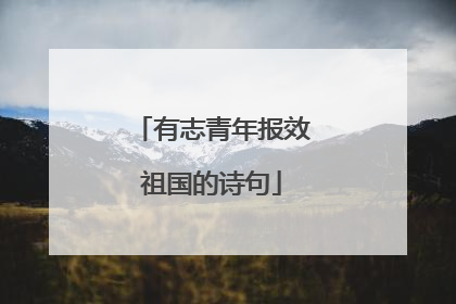 有志青年报效祖国的诗句