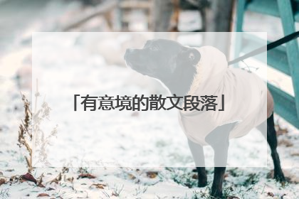 有意境的散文段落