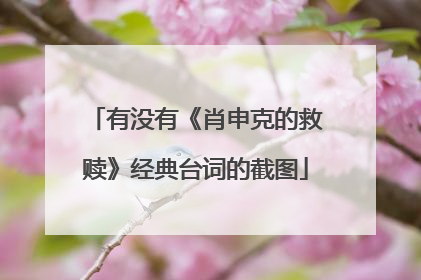 有没有《肖申克的救赎》经典台词的截图